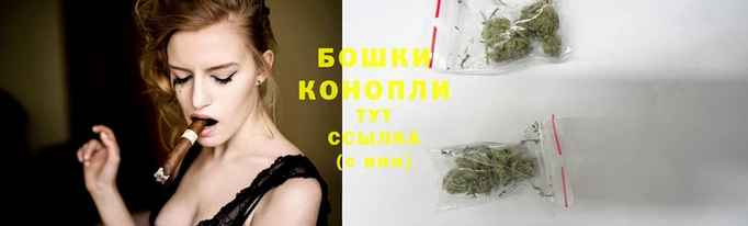 наркотики Дмитриев