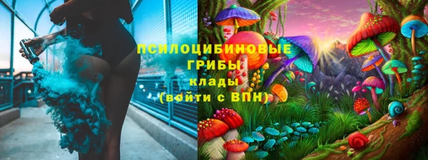 ешки Дмитров