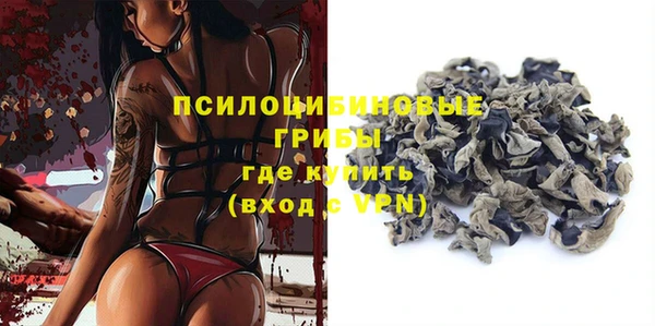ешки Дмитров