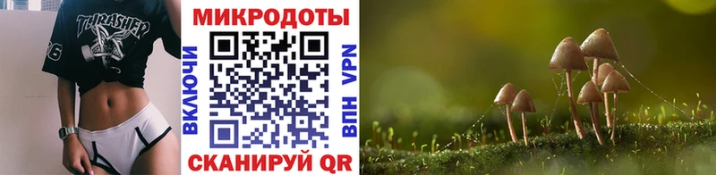 Купить где  Сольвычегодск  Псилоцибиновые грибы Psilocybe 
